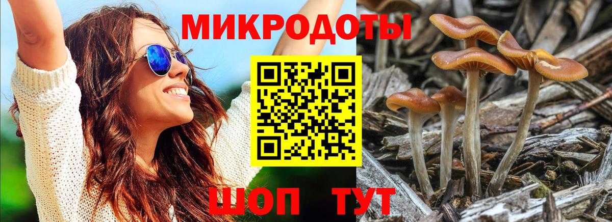 Псилоцибиновые грибы GOLDEN TEACHER Солнечногорск